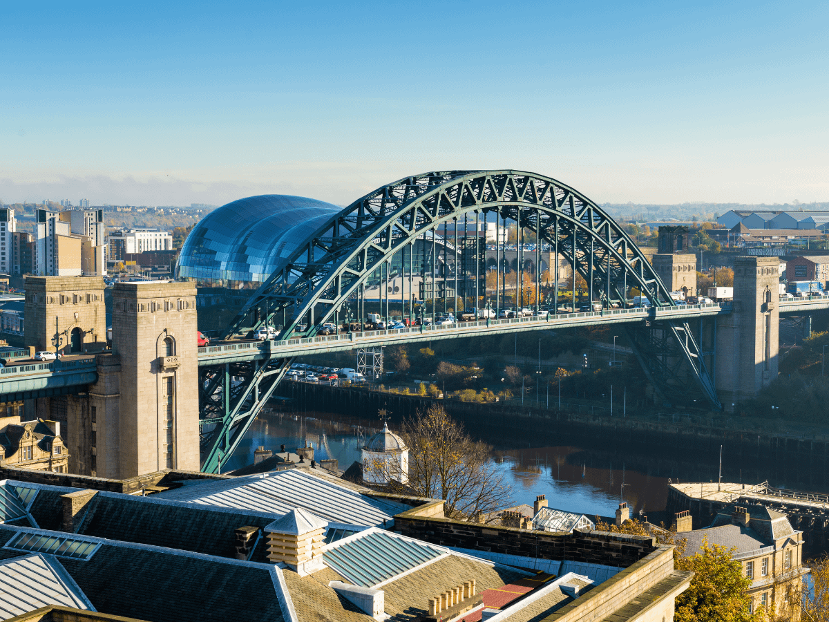 Business Case Studies Common Purpose Plexus